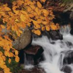 佳作「滝に映える」阿部俊一