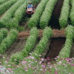 銅賞「里の秋」中村鉄雄