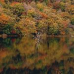 佳作「彩りに包まれて」星田昌孝