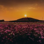 銅賞「夕景に咲く」大塚喜広