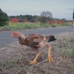 最優秀賞「ゴールは近い」中野光代